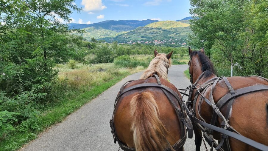 escapada rural en los Carpatos Rumania
