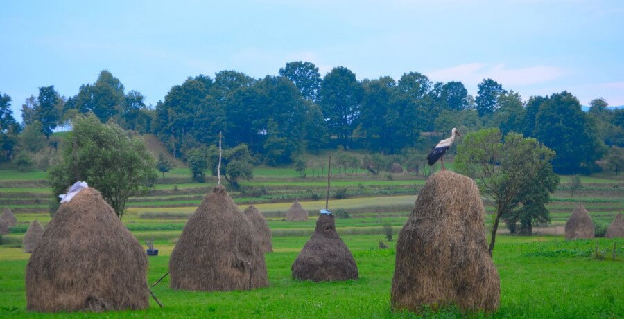 imagenes de rumania en verano