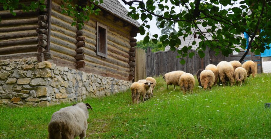 fotos de rumania en verano