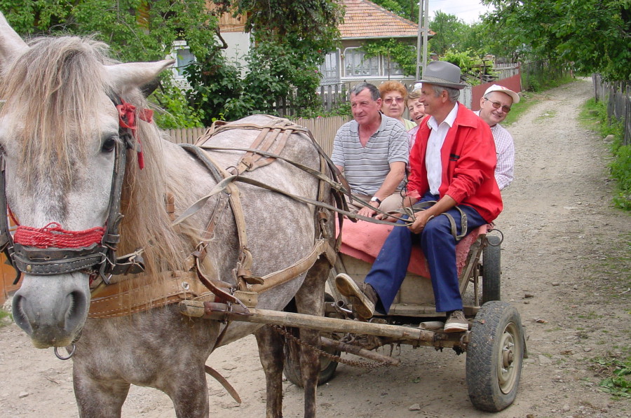 Cinco días auténticos en Casa Cárpatos, Rumanía