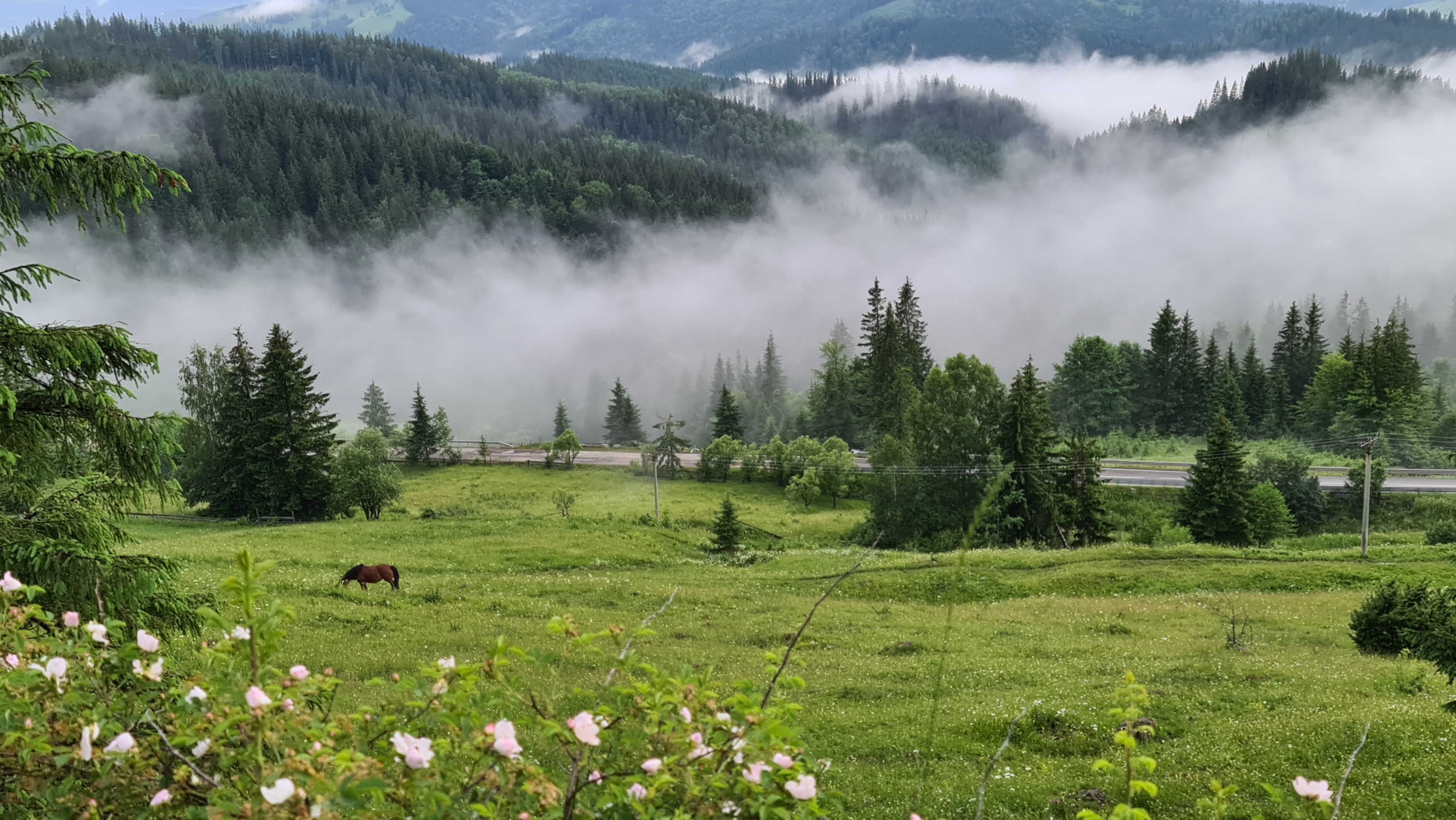 viajes para mayores a rumania