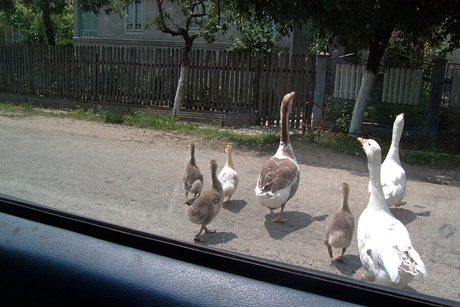 imagenes de vida rural en rumania